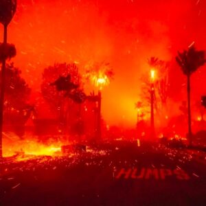 Debi Mazar Instagram - My heart breaks for Los Angeles .
I cannot believe what I’m seeing on the news.
We are praying for everyone’s safety! 🙏🏻
Have never seen anything like this.Lived there for many years & loved it so much. 🌴 
Today I can’t reach many friends.
Praying the winds die down.
🙏🏻🙏🏻🙏🏻🙏🏻
