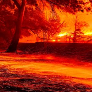 Debi Mazar Instagram - My heart breaks for Los Angeles .
I cannot believe what I’m seeing on the news.
We are praying for everyone’s safety! 🙏🏻
Have never seen anything like this.Lived there for many years & loved it so much. 🌴 
Today I can’t reach many friends.
Praying the winds die down.
🙏🏻🙏🏻🙏🏻🙏🏻