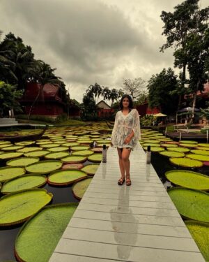 Dimple Hayathi Instagram - 🪷 all around me 🥰 #phuket #dimplehayathi #madoobuaphuket #lotus #love #me