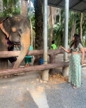 Dimple Hayathi Instagram - This how I communicate with my soul animals .. elephants and paws are my thing and when friends that god sent when left all dark in the streets this is how I was left to bloom to seek what I love . ❤️ 🐘 🐾 🐶 👧 🧳 #dimplehayathi #dimplehyati  got inked first time 🥰🧸🤓. #krabi #thailand #elephant