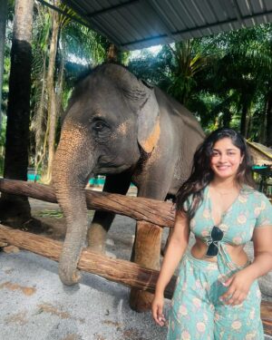 Dimple Hayathi Instagram - This how I communicate with my soul animals .. elephants and paws are my thing and when friends that god sent when left all dark in the streets this is how I was left to bloom to seek what I love . ❤️ 🐘 🐾 🐶 👧 🧳 #dimplehayathi #dimplehyati  got inked first time 🥰🧸🤓. #krabi #thailand #elephant