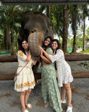 Dimple Hayathi Instagram - This how I communicate with my soul animals .. elephants and paws are my thing and when friends that god sent when left all dark in the streets this is how I was left to bloom to seek what I love . ❤️ 🐘 🐾 🐶 👧 🧳 #dimplehayathi #dimplehyati  got inked first time 🥰🧸🤓. #krabi #thailand #elephant