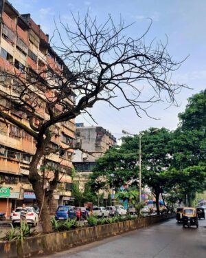 Divya Saurabh Kedar Instagram - Shoutout to these untold stories ! 
Who says DSLR is the must to extract some eye catching pictures? .
Shot by @saurabhkedar
.
@oneplus @oneplus_india
.
#shotononeplus6#shotononeplus#oneplus#oneplus7series
