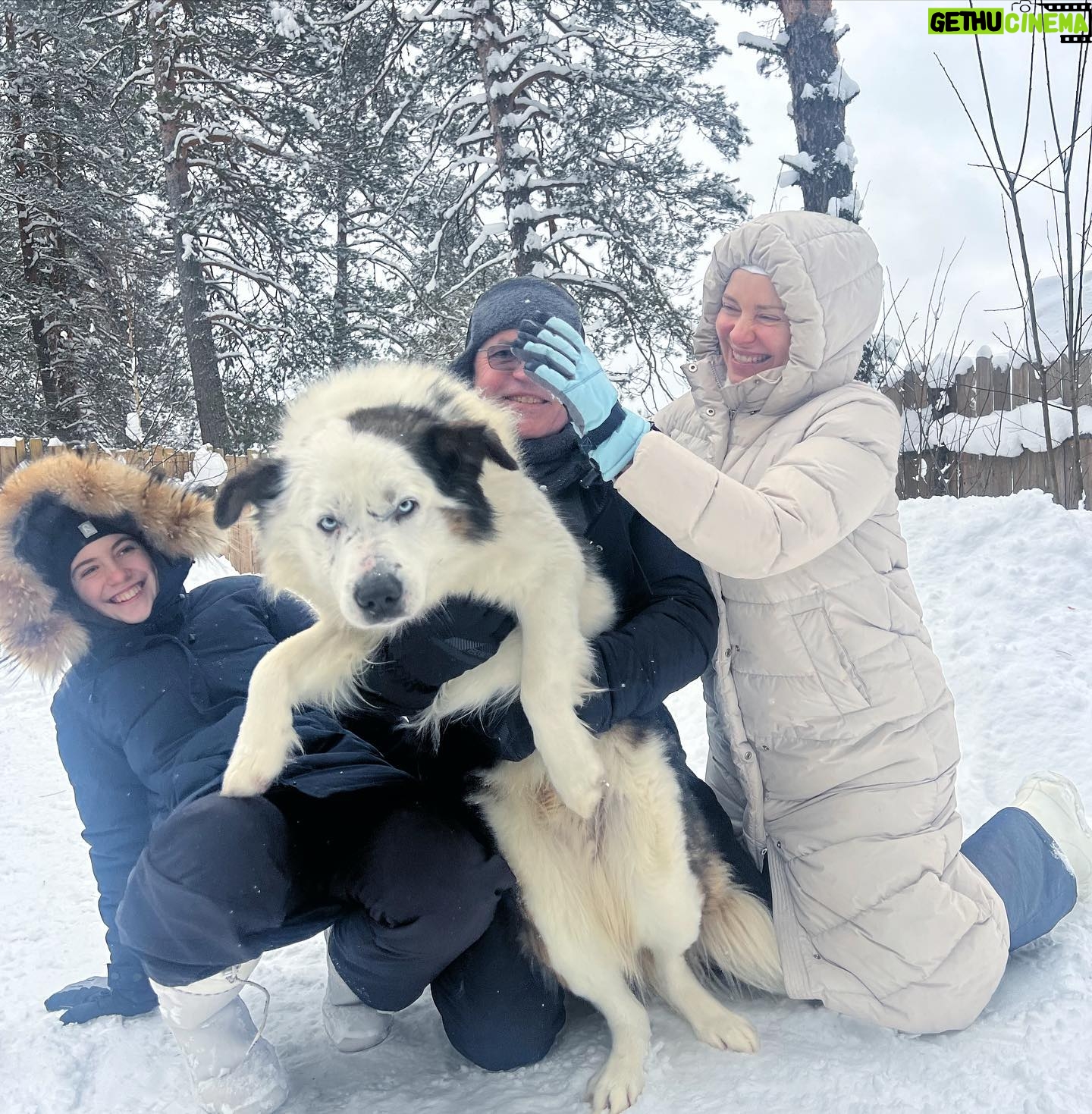 Ekaterina Guseva - 11.5K Likes - Приехали в гости к якутским лайкам! ! Счастливые, любимые псы ! Их хозяева, Женя и Гена, создали идеальные условия для своих обожаемых питомцев, которых уже 27! Знакомьтесь @sibodyssey #ЖивиПоМечте