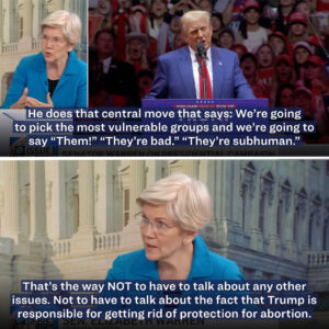 Elizabeth Warren Instagram - American women are not stupid.