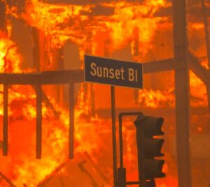 Emilie de Ravin Instagram - Beyond devastated & heartbroken by the destruction of the current LA fires…😞 My family and I used to live in beautiful Altadena, the house apparently gone-as is the entire community- same for the Palisades, and many other communities in LA/Cali
I shed many tears today.  I don’t know what to say really…my thoughts are with all of LA and Altadena/surrounding areas and my heart goes out to all affected. Also many thanks to all the selfless, brave & amazing first responders/ the @lafd 
💔💔💔💔💔