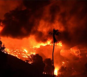 Emilie de Ravin Instagram - Beyond devastated & heartbroken by the destruction of the current LA fires…😞 My family and I used to live in beautiful Altadena, the house apparently gone-as is the entire community- same for the Palisades, and many other communities in LA/Cali
I shed many tears today.  I don’t know what to say really…my thoughts are with all of LA and Altadena/surrounding areas and my heart goes out to all affected. Also many thanks to all the selfless, brave & amazing first responders/ the @lafd 
💔💔💔💔💔