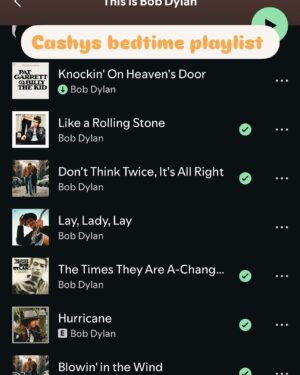Emily Wickersham Instagram - ‘‘Tis the season for that big puffer time of year, early evening taxi lights and Cashy’s playlist