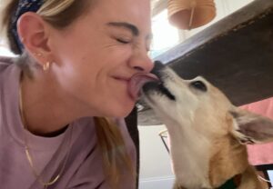 Emily Wickersham Instagram - For those of you who knew Miguel, I’m sure you’re all surprised he lasted this long. We know he was a polarizing dog with some behavioral issues… which I like to call his personality. That personality is what drew me to adopt him 16 years ago in Los Angeles. I’m an underdog person. I like the stray ones. I Iike the off beat you don’t know what you’re going to get kinda of dog…and person. If you had the pleasure of connecting with Miggy you knew this about him. He was definitely not for everyone. But for the ones he was for and who loved him, he loved you back and he loved hard. Maybe too hard sometimes, with a little love bite. He was little but mighty. We know this. It’s what I loved about him. I really really loved our ride together. He was a very special dog with a lot of heart and chutzpah.
I’m going to miss you so much Mig. 
Rest easy little man. I love you forever. 
💔