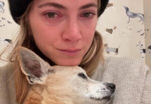 Emily Wickersham Instagram - For those of you who knew Miguel, I’m sure you’re all surprised he lasted this long. We know he was a polarizing dog with some behavioral issues… which I like to call his personality. That personality is what drew me to adopt him 16 years ago in Los Angeles. I’m an underdog person. I like the stray ones. I Iike the off beat you don’t know what you’re going to get kinda of dog…and person. If you had the pleasure of connecting with Miggy you knew this about him. He was definitely not for everyone. But for the ones he was for and who loved him, he loved you back and he loved hard. Maybe too hard sometimes, with a little love bite. He was little but mighty. We know this. It’s what I loved about him. I really really loved our ride together. He was a very special dog with a lot of heart and chutzpah.
I’m going to miss you so much Mig. 
Rest easy little man. I love you forever. 
💔