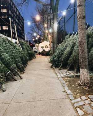 Emily Wickersham Instagram - ‘‘Tis the season for that big puffer time of year, early evening taxi lights and Cashy’s playlist