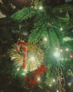 Emy LTR Instagram - Des souvenirs capturés sur pellicule et gravés dans nos cœurs. 🎄🎞️
Joyeux Noël 🎁