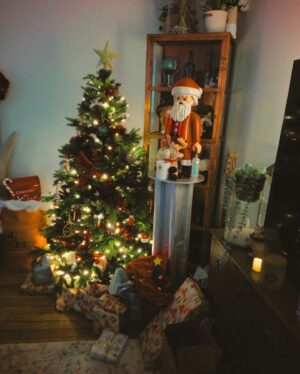 Emy LTR Instagram - Des souvenirs capturés sur pellicule et gravés dans nos cœurs. 🎄🎞️
Joyeux Noël 🎁