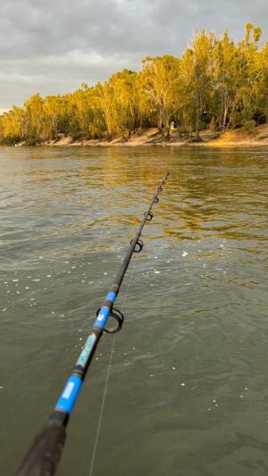 Erin Barnett Instagram - Holiday mode still activated 🎣☀️❤️ #yarrawonga #fishing #familyholiday #countrylifestyle #mrsrussellsoon