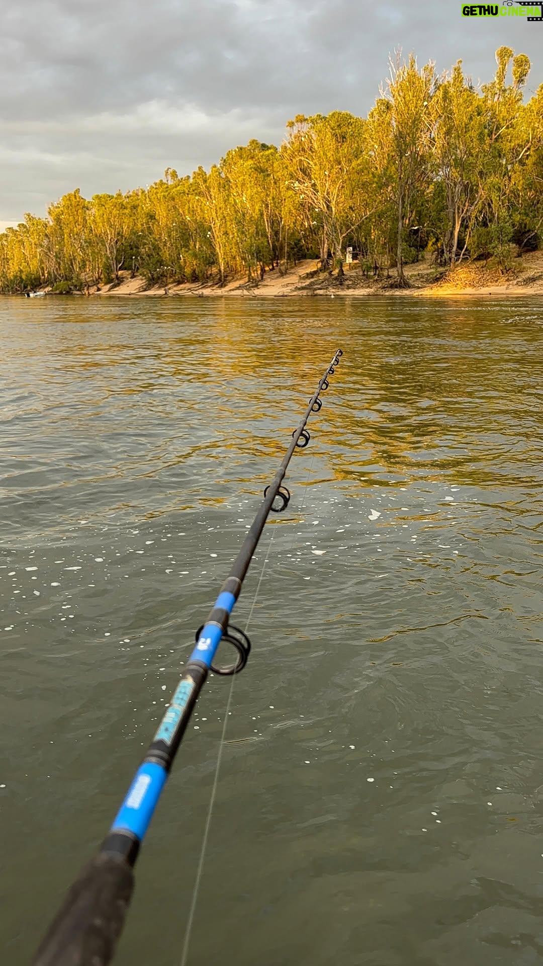 Erin Barnett - 883 Likes - Holiday mode still activated 🎣☀️❤️ #yarrawonga #fishing #familyholiday #countrylifestyle #mrsrussellsoon