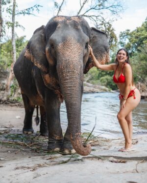Eugenia Lemos Instagram - Momento mágico que jamás olvidaré 🥹🐘

Una experiencia inolvidable, fuimos a un Santuario de 
elefantes de #changmai , donde cuidan elefantes rescatados o huérfanos, y  les brindan una vida lo más natural pisible, buscando el bienestar de elefantes . 

En las noches los elefantes van solos a dormir a las afueras y en las mañanas regresan al santuario solos, lo dulces y amoroso que son no se puede creer .  Juegan para pedir comida, son muy suaves en sus movimientos  y muy amigables con las personas .  Esta tarde jamás la olvidaré  fue mágico poder alimentar y compartí con ellos 🥹🐘✨

En los santuarios de de elefantes puedes: observarlos en su habitad, una interacción ética con los elefantes , rehabilitación, rescate y educación. ✨🤍🐘

#tailandia 🇹🇭

Les cuento que en el santuario que fuimos nosotros
(leimos mucho antes) respetaban el encuentro, solo si ellos se acercaban y están a gusto, también hay actividades de observación, como observar de lejos al bebé elefante con su mamá y a los elefantes bañarse, comer , etc… 
Hoy día en Tailandia solo quedan 4.400 mil elefantes, hacia 1850 había 100.000 elefantes 💔
Tristemente en Tailandia existía un tradicional método de "domesticación" de elefantes, una costumbre arraigada desde hace muchos siglos y que formaba parte de la cultura del país 💔
Desde muy pequeños se separa a las crías de sus madres en estado salvaje, en ocasiones después de haberlas matado, y se les sometía a un cruel aislamiento y a la tortura hasta someterles y que sean totalmente sumisos al hombre de por vida 💔

 Actualmente, gracias a organizaciones como FAADA, Bring the Elephant Home o Elephant Family, se está mejorando la situación del elefante asiático y su supervivencia, cuidando su hábitat natural y con un trato más ético de los animales en cautiverio.
Estás organizaciones fomentan un turismo sostenible, donde se conocen e interactúan de forma ética con los elefantes, de manera responsable apoyando santuarios y centros de rescate de elefantes para poder darles una mejor vida en  Tailandia 🙏