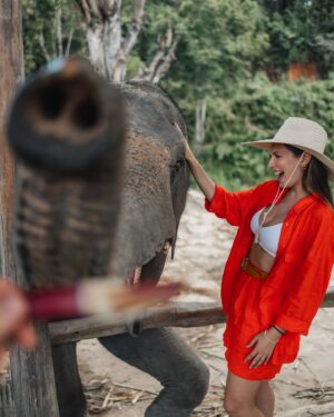 Eugenia Lemos Instagram - Momento mágico que jamás olvidaré 🥹🐘

Una experiencia inolvidable, fuimos a un Santuario de 
elefantes de #changmai , donde cuidan elefantes rescatados o huérfanos, y  les brindan una vida lo más natural pisible, buscando el bienestar de elefantes . 

En las noches los elefantes van solos a dormir a las afueras y en las mañanas regresan al santuario solos, lo dulces y amoroso que son no se puede creer .  Juegan para pedir comida, son muy suaves en sus movimientos  y muy amigables con las personas .  Esta tarde jamás la olvidaré  fue mágico poder alimentar y compartí con ellos 🥹🐘✨

En los santuarios de de elefantes puedes: observarlos en su habitad, una interacción ética con los elefantes , rehabilitación, rescate y educación. ✨🤍🐘

#tailandia 🇹🇭

Les cuento que en el santuario que fuimos nosotros
(leimos mucho antes) respetaban el encuentro, solo si ellos se acercaban y están a gusto, también hay actividades de observación, como observar de lejos al bebé elefante con su mamá y a los elefantes bañarse, comer , etc… 
Hoy día en Tailandia solo quedan 4.400 mil elefantes, hacia 1850 había 100.000 elefantes 💔
Tristemente en Tailandia existía un tradicional método de "domesticación" de elefantes, una costumbre arraigada desde hace muchos siglos y que formaba parte de la cultura del país 💔
Desde muy pequeños se separa a las crías de sus madres en estado salvaje, en ocasiones después de haberlas matado, y se les sometía a un cruel aislamiento y a la tortura hasta someterles y que sean totalmente sumisos al hombre de por vida 💔

 Actualmente, gracias a organizaciones como FAADA, Bring the Elephant Home o Elephant Family, se está mejorando la situación del elefante asiático y su supervivencia, cuidando su hábitat natural y con un trato más ético de los animales en cautiverio.
Estás organizaciones fomentan un turismo sostenible, donde se conocen e interactúan de forma ética con los elefantes, de manera responsable apoyando santuarios y centros de rescate de elefantes para poder darles una mejor vida en  Tailandia 🙏