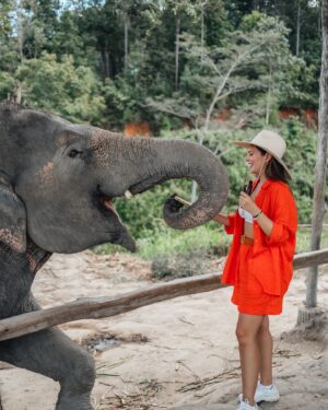 Eugenia Lemos Instagram - Momento mágico que jamás olvidaré 🥹🐘

Una experiencia inolvidable, fuimos a un Santuario de 
elefantes de #changmai , donde cuidan elefantes rescatados o huérfanos, y  les brindan una vida lo más natural pisible, buscando el bienestar de elefantes . 

En las noches los elefantes van solos a dormir a las afueras y en las mañanas regresan al santuario solos, lo dulces y amoroso que son no se puede creer .  Juegan para pedir comida, son muy suaves en sus movimientos  y muy amigables con las personas .  Esta tarde jamás la olvidaré  fue mágico poder alimentar y compartí con ellos 🥹🐘✨

En los santuarios de de elefantes puedes: observarlos en su habitad, una interacción ética con los elefantes , rehabilitación, rescate y educación. ✨🤍🐘

#tailandia 🇹🇭

Les cuento que en el santuario que fuimos nosotros
(leimos mucho antes) respetaban el encuentro, solo si ellos se acercaban y están a gusto, también hay actividades de observación, como observar de lejos al bebé elefante con su mamá y a los elefantes bañarse, comer , etc… 
Hoy día en Tailandia solo quedan 4.400 mil elefantes, hacia 1850 había 100.000 elefantes 💔
Tristemente en Tailandia existía un tradicional método de "domesticación" de elefantes, una costumbre arraigada desde hace muchos siglos y que formaba parte de la cultura del país 💔
Desde muy pequeños se separa a las crías de sus madres en estado salvaje, en ocasiones después de haberlas matado, y se les sometía a un cruel aislamiento y a la tortura hasta someterles y que sean totalmente sumisos al hombre de por vida 💔

 Actualmente, gracias a organizaciones como FAADA, Bring the Elephant Home o Elephant Family, se está mejorando la situación del elefante asiático y su supervivencia, cuidando su hábitat natural y con un trato más ético de los animales en cautiverio.
Estás organizaciones fomentan un turismo sostenible, donde se conocen e interactúan de forma ética con los elefantes, de manera responsable apoyando santuarios y centros de rescate de elefantes para poder darles una mejor vida en  Tailandia 🙏