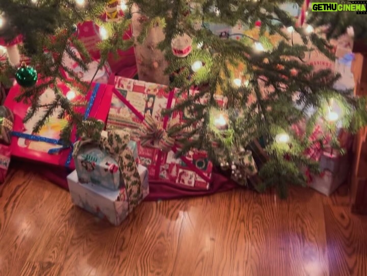 Evangeline Lilly - 41.6K Likes - It's Christmas Eve! My little boy is electric with excitement. It's 7:25am and he can not be still. He's downstairs in the kitchen pacing and walking vigorously in circles, talking his daddy's head off. 🤗 He has even read his dad a 15th century Child Ballad about Mary and Joseph called The Cherry Tree Carol. He read it beautifully!
The magic of Christmas is undeniable, and yet I find that, raising my children "non-religious" has taken some of the meaning out of Christmas. I hear talk of Santa and presents 🎁, fun and joy, but it seems that peace and good will toward all people has been lost. When I was little, those were the primary focus of the holiday season everywhere I went: school, church, and even stores and advertising. This year, my son's Christmas concert at school had absolutely no reference to the meaning of Christmas - they didn't talk about giving, about charity, about resolving differences, choosing grace, about peace on earth...
In the face of all the evil done in the name of religion, I love all religion for what it does bring us - meaning and a focus on the things unseen. I want to do more at Christmas to keep the focus away from material things and, instead, on the Spirit, but when the rest of my society seems to have lost sight of the Spirit and let consumerism fill the void left behind, it can be hard.
What do you think about the Christmas Spirit: whether that is the spirit of the winter solstice or the Spirit of Christ's birth, of the spirit of Hannukah, or something else? What does Christmas mean to you? Does it have any meaning to you? And how do you live out that meaning during the holidays?
Tell me your stories. ☺️🙏🏼🎄
#christmasspirit #christmas #christmastraditions #holidays #peaceonearth #goodwilltowardmen #cherrytreecarol