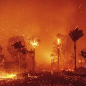 Fernanda Romero Instagram - My heart aches 💔 
Last night was a horrible night. I  am deeply sorry for those who have lost everything in the devastating California fires. 💔 To those who had to flee their homes, leaving behind memories, cherished belongings, and even their beloved pets—my thoughts and prayers are with you. It’s unimaginable to see the city that has given so much now engulfed in such destruction. This is heartbreaking and enraging all at once. Sending love, strength, and hope to everyone affected. You are not alone.

🫶🏽gracias también a nuestros amigos que nos han llamado y ofrecido sus casas. Gracias de corazón. 

-
-
-
-
-
-
-
-
-
#CaliforniaStrong
#PrayForCalifornia
#CaliforniaFires
#WeStandWithYou
#RebuildCalifornia