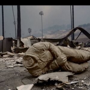 Fernanda Romero Instagram - My heart aches 💔 
Last night was a horrible night. I  am deeply sorry for those who have lost everything in the devastating California fires. 💔 To those who had to flee their homes, leaving behind memories, cherished belongings, and even their beloved pets—my thoughts and prayers are with you. It’s unimaginable to see the city that has given so much now engulfed in such destruction. This is heartbreaking and enraging all at once. Sending love, strength, and hope to everyone affected. You are not alone.

🫶🏽gracias también a nuestros amigos que nos han llamado y ofrecido sus casas. Gracias de corazón. 

-
-
-
-
-
-
-
-
-
#CaliforniaStrong
#PrayForCalifornia
#CaliforniaFires
#WeStandWithYou
#RebuildCalifornia