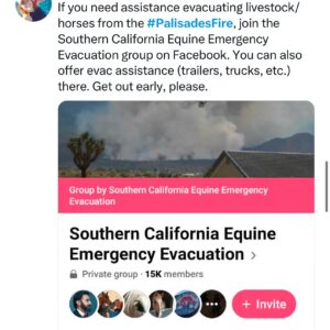 Fernanda Romero Instagram - My heart aches 💔 
Last night was a horrible night. I  am deeply sorry for those who have lost everything in the devastating California fires. 💔 To those who had to flee their homes, leaving behind memories, cherished belongings, and even their beloved pets—my thoughts and prayers are with you. It’s unimaginable to see the city that has given so much now engulfed in such destruction. This is heartbreaking and enraging all at once. Sending love, strength, and hope to everyone affected. You are not alone.

🫶🏽gracias también a nuestros amigos que nos han llamado y ofrecido sus casas. Gracias de corazón. 

-
-
-
-
-
-
-
-
-
#CaliforniaStrong
#PrayForCalifornia
#CaliforniaFires
#WeStandWithYou
#RebuildCalifornia