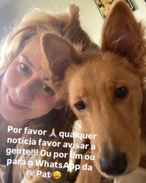 Guta Stresser Instagram - O BENTO JÁ FOI ENCONTRADO, ESTÁ BEM E ESTÁ EM PAZ E PROTEGIDO ❤️

Amigos, meu novo filhote, o Bento, adotado a cerca de dois meses e já muitooooo amado por mim, fugiu ontem da casa em que estávamos hospedados para o fim de semana em Itapoá, SC.Ele fugiu ontem perto do fim da manhã e, assustado, pois é medroso, já que aparenta traumas do que deve ter sofrido antes da adoção e do resgate e tem muito medo de gente em geral, principalmente de homens, de carros, de chuva a de barulhos, tipo fogos.A ONG de que eu adotei é ótima, @adocaosos4patas.pr @sos4patas.pr e estão me ajudando, além de grupos da cidade de WhatsApp e Facebook e outros nacionais especializados em pets desaparecidos. Eu estou em frangalhos e desde ontem só faço procurar e perguntar e rezar, chorar e gritar. Desde a sua adoção que somos grudados e nunca tinha dormido uma noite sem ele, que como sempre foi muito medroso, era o lugar que desde o primeiro dia ele se sentiu mais tranquilo e confortável. O Bento é feliz comigo, eu o amo gigante e tenho certeza do amor dele por mim também. Ele se assustou com dois garotos que estavam também hospedados nessa casa de um amigo, e infelizmente alguém tinha deixado o portão aberto. Os meninos correram atrás dele para tentar pega-lo, mas ele ficou mais assustado e fugiu deles! 😫😭😩 Pode estar entocado em algum canto, ou foi acolhido por alguma boa alma, mas não pode ter evaporado! Itapoá não é uma  cidade grande, mas tem muito matagal e também casas em construção e bastante conteiners e caçambas e outros lugares onde ele possa ter se escondido. 
Por favor! Compartilhem!!
Estou em Guaratuba, praia adjacente a Itapoá, já no PR, na casa do primo Rodrigo e da esposa Rafa aguardando notícias e o @mattheusboeckoficial , amigo que nos hospedava, procurando em Itapoá. Grupos da cidade compartilharam e qualquer informação podem falar com o @mattheusboeckoficial por dm ou comigo através do telefone de contato que consta no meu perfil, da @paty.blanco ou dm pra mim aqui ou pra Paty no @acervodeatores 🙏🏼 
Estou esperançosa, mas arrasada e desde ontem só penso em encontrar o Bento. Meu reBento
.
#gutastresser #bento #bentoeguta #itapoá #ENCONTRADO