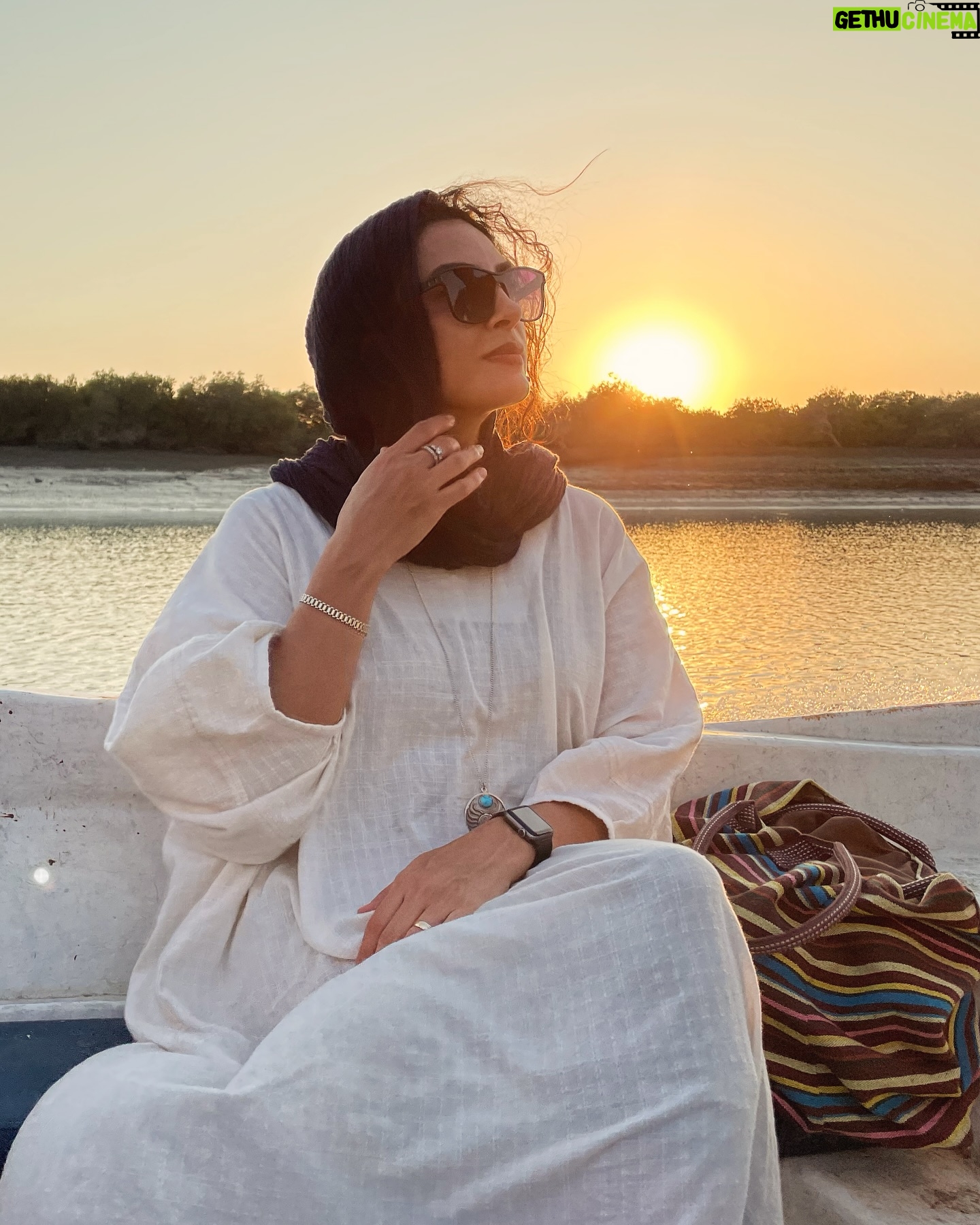 Hadiseh Tehrani - 14.2K Likes - .
هنوز در سفرم…
خیال میکنم
در آبهای جهان قایقی است
و من - مسافر قایق - هزارها سال است
سرود زنده دریانوردهای کهن را
به گوش روزنههای فصول میخوانم
و پیش میرانم.
مرا سفر به کجا میبرد؟
کجاست سمت حیات ؟
.
.
#سهراب_سپهری 🕊️
#سفر #قشم #حال_خوب #همسفر #دره_ستارگان #جنگل_حرا #فلفل #جاده_عشاق #ceeport #art