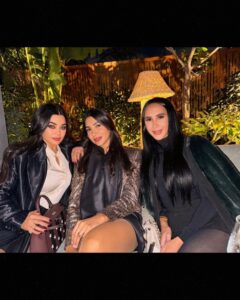 Actress Haifa Wehbe HD Photos and Wallpapers December 2024