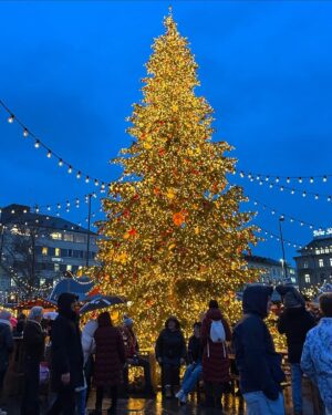 Harshita Gupta Instagram - I wanted to experience Christmas in Europe since I was a baby coz I went to a Convent school for years and IYKYK the hype that the school creates.
Watching Singing Christmas tree to eating Ginger bread, Everyday new Christmas Markets to new Christmas Tree just out of a movie, from Christmas Eve to Christmas dinner. Eating chocolates, singing carols, sipping Hot Wine. My dream came true. 
Finally saw Christmas in Europe and OMG ( in Janice’s voice).
Christmas 2024 you are Special 🎄🎅🏻
.
Merry Christmas everyone, Ho Ho Ho 🍬