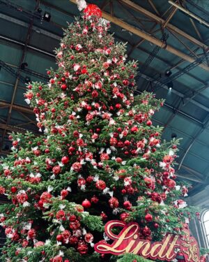 Harshita Gupta Instagram - I wanted to experience Christmas in Europe since I was a baby coz I went to a Convent school for years and IYKYK the hype that the school creates.
Watching Singing Christmas tree to eating Ginger bread, Everyday new Christmas Markets to new Christmas Tree just out of a movie, from Christmas Eve to Christmas dinner. Eating chocolates, singing carols, sipping Hot Wine. My dream came true. 
Finally saw Christmas in Europe and OMG ( in Janice’s voice).
Christmas 2024 you are Special 🎄🎅🏻
.
Merry Christmas everyone, Ho Ho Ho 🍬