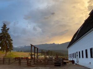 Hassie Harrison Instagram - An ode to Yellowstone and some incredibly beautiful years spent in Montana. What a lovely experience to braid into my life. Thanks to everyone who supported and cheered us on over there years. I hope you’ll stick around and see wherever life takes me next. 🙂♥️✨