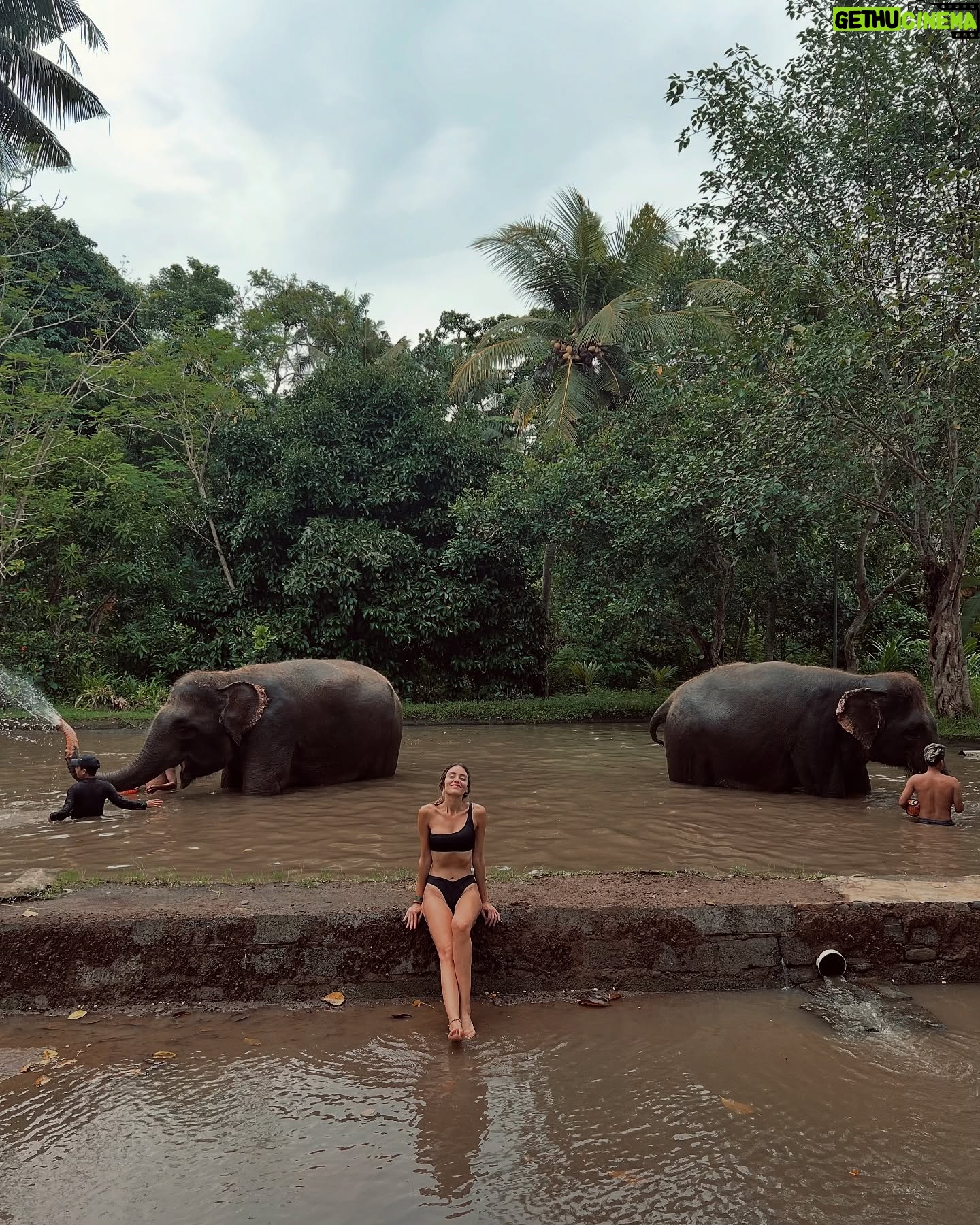 Hazal Benli - 1.6K Likes - Lovely day..🐘🩶
#BaliZoo @balizoo