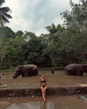 Hazal Benli Instagram - Lovely day..🐘🩶 
#BaliZoo @balizoo