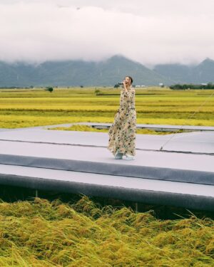 Hebe Tien Fu-chen Instagram - 姍姍來池的紀錄🌾🎤🧡😛直式照篇📷

在大自然裡，自然一切都無所遁形。
休想，也無需矯飾。

狂風暴雨、雲開霧散、撥雲見日，皆有時。

只管享受隨遇而安、自由自在、放飛自我的快意。

有時得意忘形而忘詞的腦、翻船的腳；
有時情緒洶湧而唱濕自己的眼睛；
有時風和日麗而汗濕如雨的身體。

只能坦然接受真實自然的自己。
（還練就不到“欣然”接收的程度）

謝謝我愛的人，和愛我的人，無論風雨或天晴，都如約相聚在縱谷山嵐的懷抱裡，在美麗的金黃稻浪間，讓我留下此生難忘的回憶。

有你們一起，
雨水、汗水、淚水都甘甜，豐潤我心田。

謝謝池上秋收，
讓我領受大自然的教導，
也享受著大自然的包容。

感恩池上的所有，
謝謝有愛、踏實又團結的池上鄉親朋友。

願這片土地一切安好。

#姍姍來池
#池上秋收
#直式照篇🤪

📷by @s.tungphoto