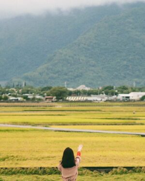 Hebe Tien Fu-chen Instagram - 姍姍來池的紀錄🌾🎤🧡😛直式照篇📷

在大自然裡，自然一切都無所遁形。
休想，也無需矯飾。

狂風暴雨、雲開霧散、撥雲見日，皆有時。

只管享受隨遇而安、自由自在、放飛自我的快意。

有時得意忘形而忘詞的腦、翻船的腳；
有時情緒洶湧而唱濕自己的眼睛；
有時風和日麗而汗濕如雨的身體。

只能坦然接受真實自然的自己。
（還練就不到“欣然”接收的程度）

謝謝我愛的人，和愛我的人，無論風雨或天晴，都如約相聚在縱谷山嵐的懷抱裡，在美麗的金黃稻浪間，讓我留下此生難忘的回憶。

有你們一起，
雨水、汗水、淚水都甘甜，豐潤我心田。

謝謝池上秋收，
讓我領受大自然的教導，
也享受著大自然的包容。

感恩池上的所有，
謝謝有愛、踏實又團結的池上鄉親朋友。

願這片土地一切安好。

#姍姍來池
#池上秋收
#直式照篇🤪

📷by @s.tungphoto