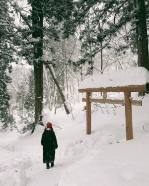 Hebe Tien Fu-chen Instagram - 🎄❄️⛩️ ❤️💚🤎🤍

參拜戶隱神社的路上，聽見雪落下的聲音，
卻聽不見心的寧靜？

還要再修習。

學習百年杉木、千年巨木，那樣不言不語，定靜地存在著。

 聖 誕 快 樂 啊 🌲