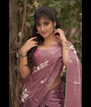 Hima Bindhu Instagram - Getting colder🧊❄️ now 
🌟
⚡️
✨

Artist - @himabindhu____
Costume - @kaarigai.sarees
Photographer - @camerasenthil
Makeup - @profile_makeover
Hair - @mahi_hairstyliz
Shoot Organised by @rrajeshananda