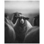Isabella Santodomingo