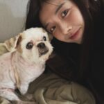 Ivy Shao