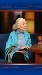 Actress Jane Goodall HD Photos and Wallpapers January 2025