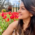 Jayshree Soni