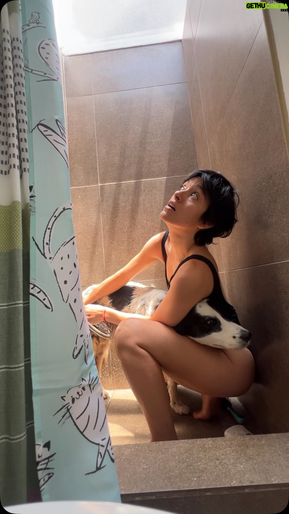 Jely Reategui - 17.5K Likes - Y para continuar con la tradición de no sólo desearles un feliz año sino también un próspero ano, aquí un bañito Katanero de la suerte 🥰
Pd. También le estoy pimpeando la alimentación y además del barf que le doy, estoy probando con @belcandoperu metiéndolas como premio y le está gustando❤️ ya les contaré cómo van esas cacas… o tal vez no les cuente nada porque me olvidé ✨