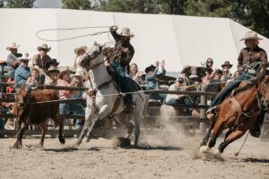 Jennifer Landon Instagram - I can’t believe we only have one episode left.  Shooting this season was one of the greatest summers of my life.  And while Teeter was grieving, I was celebrating, because after five years and not a lick of natural talent, @jrodstunts finally got me team roping.  And I couldn’t have done it without the having the most supportive and understanding heeler on earth @ryanbinghamofficial . 

#yellowstone 
#yellowstonetv 
#cactusropes
@cactusropes