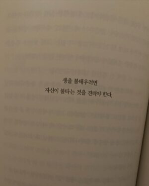 Jeong Sin-hye Instagram - 두서없지만 사랑스러웠던 2024년 10월