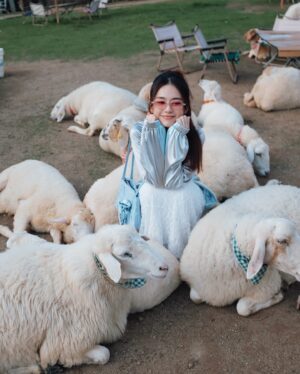 Joey Leong Instagram - 2025 kicked off with 
work cranked up to the max

the busier it gets
the more these travel memories shine
till next round ᯓ ✈︎

swipe to find the sheep with a ♡ on its forehead
did she find me, or I found her? either way, cute

#monjam #joeyleonginchiangmai #goinguphill