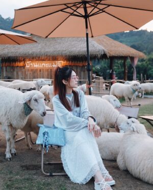 Joey Leong Instagram - 2025 kicked off with 
work cranked up to the max

the busier it gets
the more these travel memories shine
till next round ᯓ ✈︎

swipe to find the sheep with a ♡ on its forehead
did she find me, or I found her? either way, cute

#monjam #joeyleonginchiangmai #goinguphill