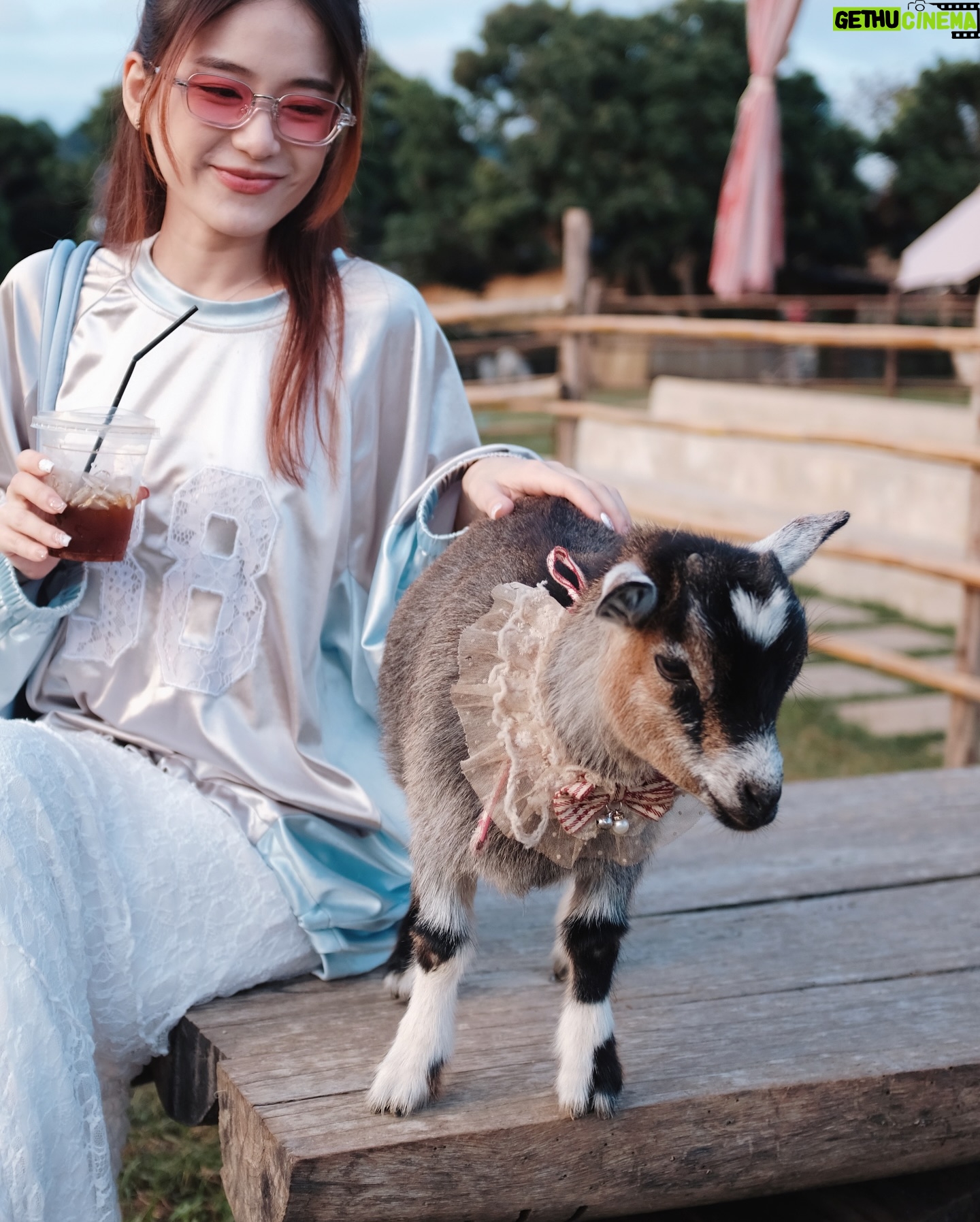 Joey Leong - 7.8K Likes - 2025 kicked off with
work cranked up to the max
the busier it gets
the more these travel memories shine
till next round ᯓ ✈︎
swipe to find the sheep with a ♡ on its forehead
did she find me, or I found her? either way, cute
#monjam #joeyleonginchiangmai #goinguphill