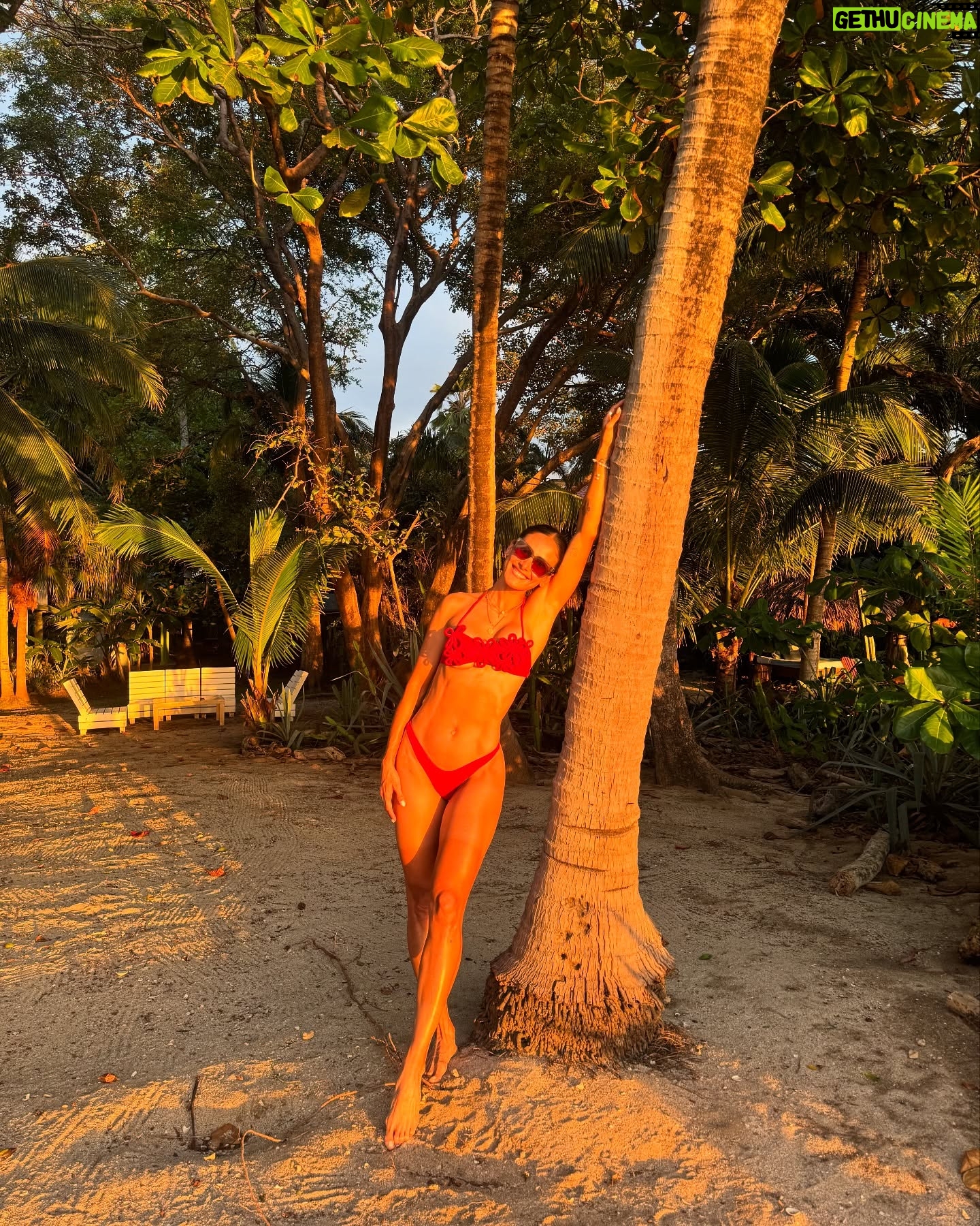 Johanna Solano - 22K Likes - 🔋🔋🔋☀️