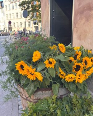 Josefine Frida Pettersen Instagram - it’s October 3rd